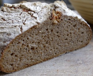 Die saftige, lockere Krume erhält das Brot durch die Übernachtgare und die anschliessend sorgfältige Bearbeitung.