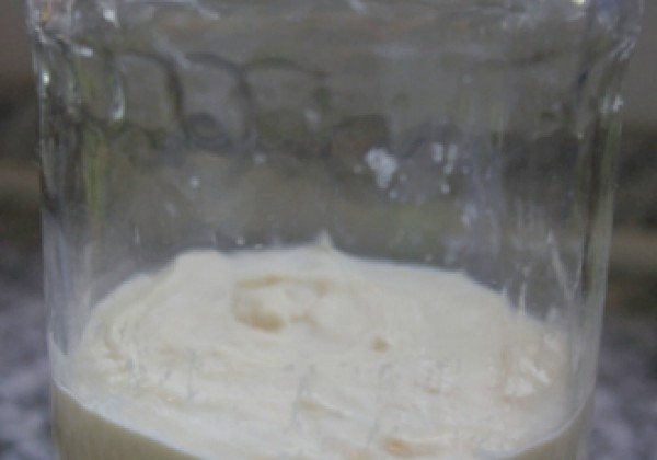 Poolish frisch angerührt.