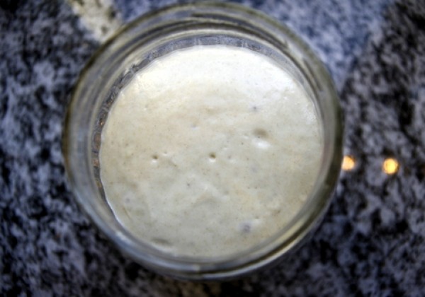 Erste Blasen bilden sich. Der Poolish ist reif für den Kühlschrank (Variante II).
