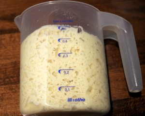 Milder Sauerteig nach drei Stunden (1. Auffrischung).