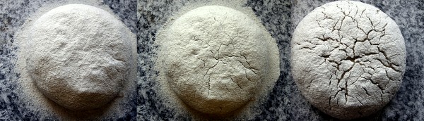 Roggenbrot-001